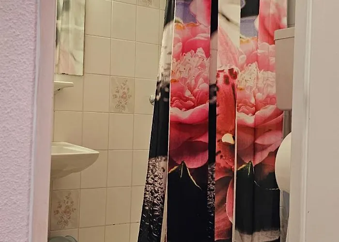 酒店 Coerona 卢德